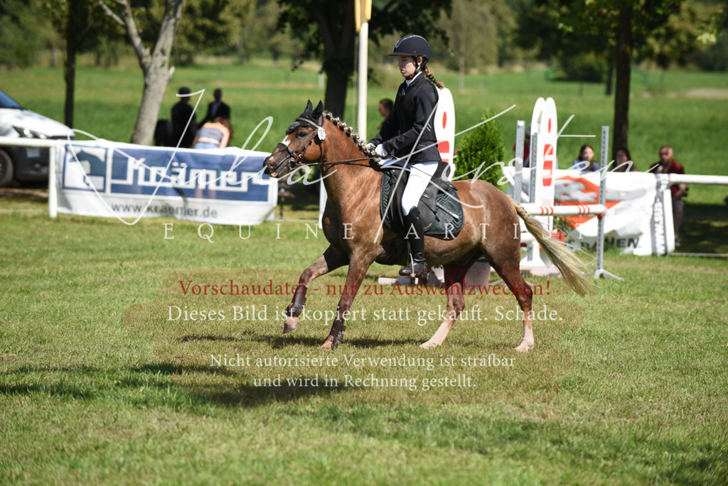 DSC_9463 | Pferde- und Turnierfotografie in Westsachsen. Pferdeportraits, Auftragszeichnungen und intuitive Kunst.