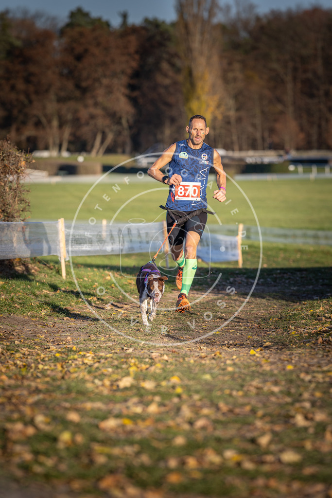 CaniXpix_DV3A4157 | Hundefotografie, Tierfotograf, Pfotenfotografie, Fotoshooting Hund, Hunde Portrait, Hundesport, Hundeportraits, Heideshooting, Hunde, Sportfotograf, Hundefotograf, Turnierhundsport, THS,  - Realisiert mit Pictrs.com