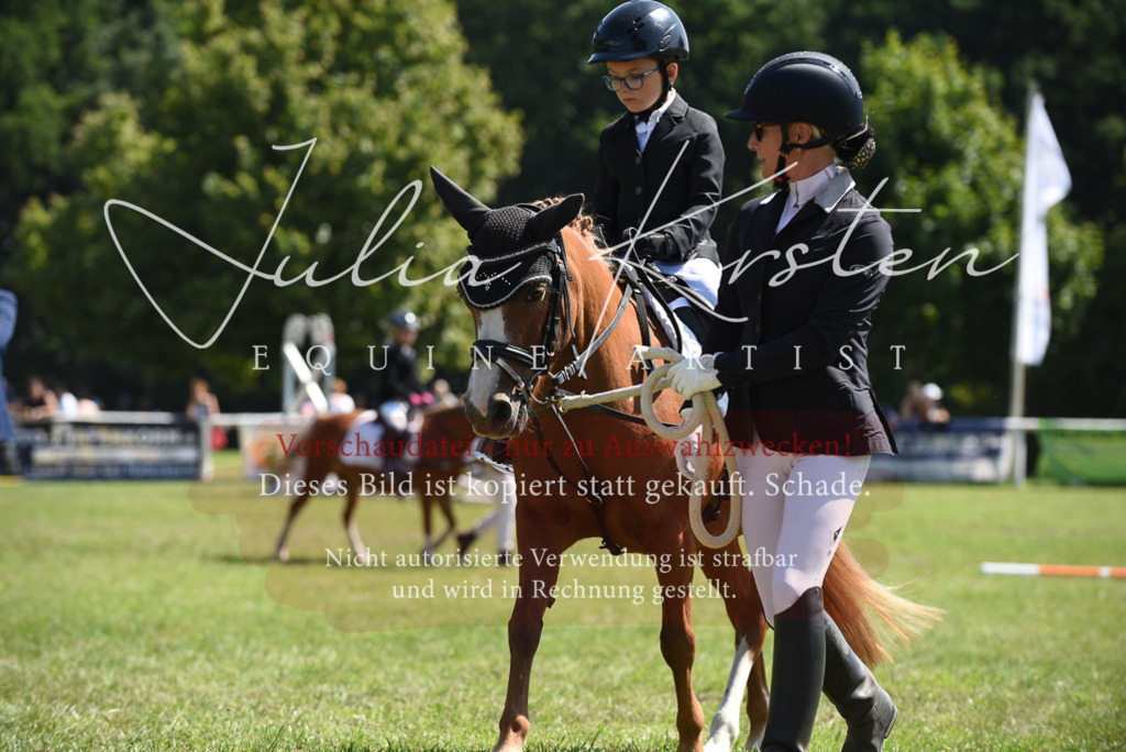 DSC_9734 | Pferde- und Turnierfotografie in Westsachsen. Pferdeportraits, Auftragszeichnungen und intuitive Kunst.