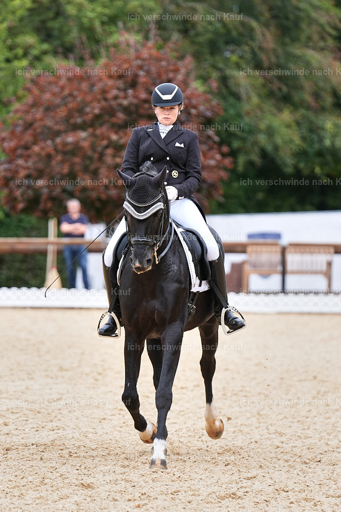11-093-Dressur S___-Marixx-1553 | working equitationturnier fotograf videograf stoibphotography marixx film working equitation deutschland reitsport turnierfotografie eventfotografie equestrian events