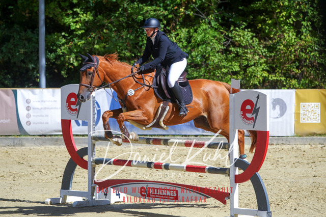 DKP43190 | Deine Turnierfotos vom Reitturnier online kaufen: Dressur, Springen & Siegerehrung. Professionelle Pferdefotografie aus dem Rheinland – als Download & Print.Alternative: Turnierfotograf für den Pferdesport: Finde deine Fotos von Dressur- und Springturnier