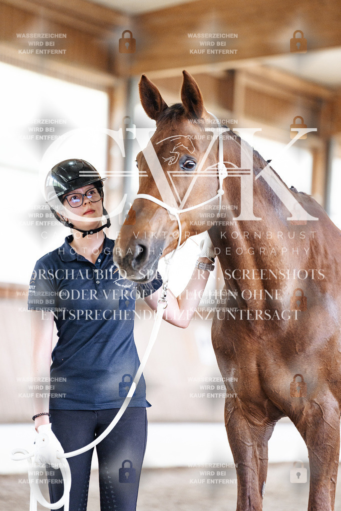 CK908296 | Turnierfotografie Pferdefotografie Trier Rheinland-Pfalz Pferdesport Reitsport Tierfotografie Sportfotografie Pferdevideo Pferdevideografie Equestrianvideography equestrianphotography  - Realisiert mit Pictrs.com