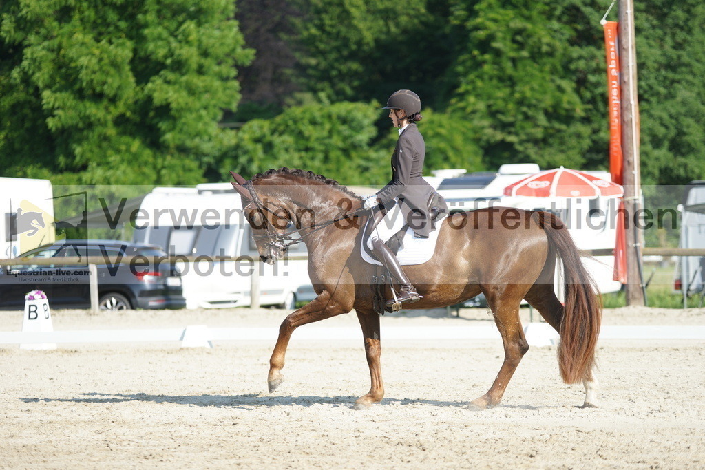 DSC02581 | equestrian-live-com