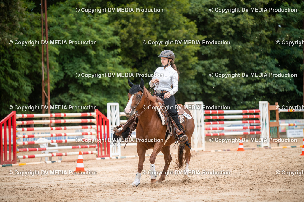 ZS2_8597 | dv-media-shop - Realisiert mit Pictrs.com