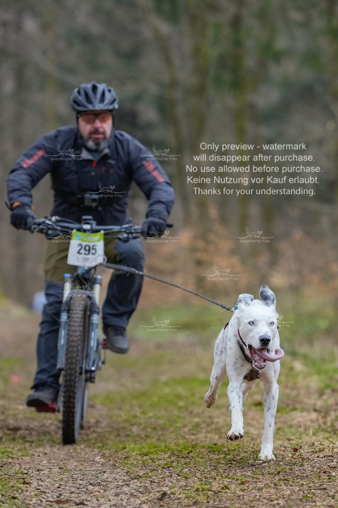 BikekurzSa-62 | stephaniefillaphotographie - Realisiert mit Pictrs.com