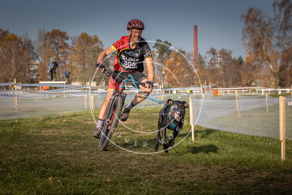 CaniXpix_0L8A7126 | Hundefotografie, Tierfotograf, Pfotenfotografie, Fotoshooting Hund, Hunde Portrait, Hundesport, Hundeportraits, Heideshooting, Hunde, Sportfotograf, Hundefotograf, Turnierhundsport, THS,  - Realisiert mit Pictrs.com