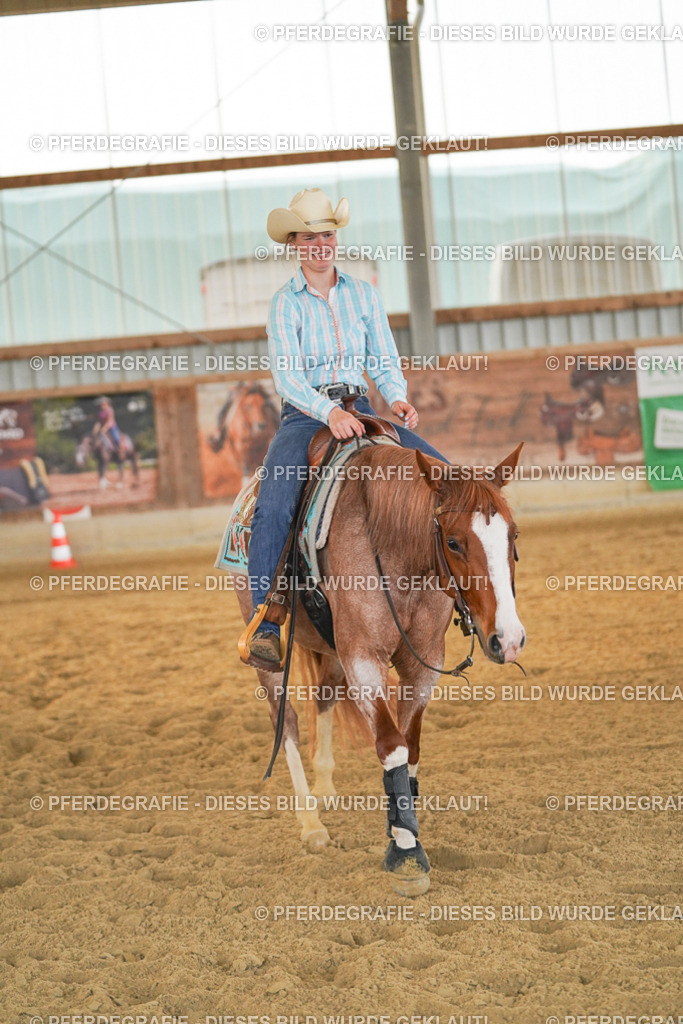 DSC08710 | Pferdegrafie