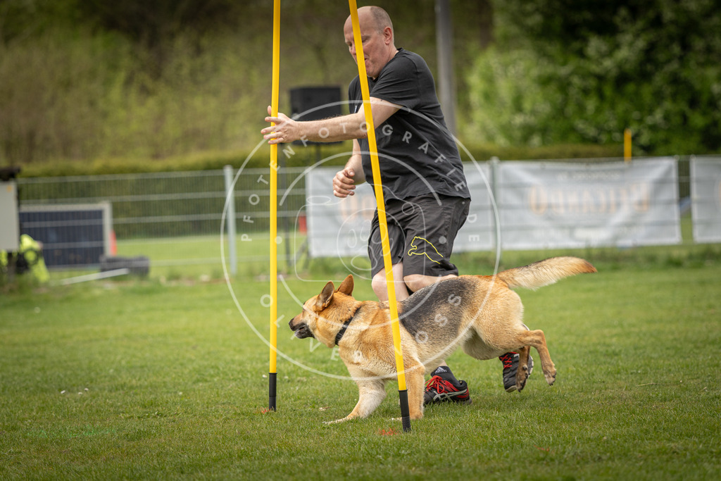 Pfotenfotografie_DV3A2229 | Hundefotografie, Tierfotograf, Pfotenfotografie, Fotoshooting Hund, Hunde Portrait, Hundesport, Hundeportraits, Heideshooting, Hunde, Sportfotograf, Hundefotograf, Turnierhundsport, THS,  - Realisiert mit Pictrs.com