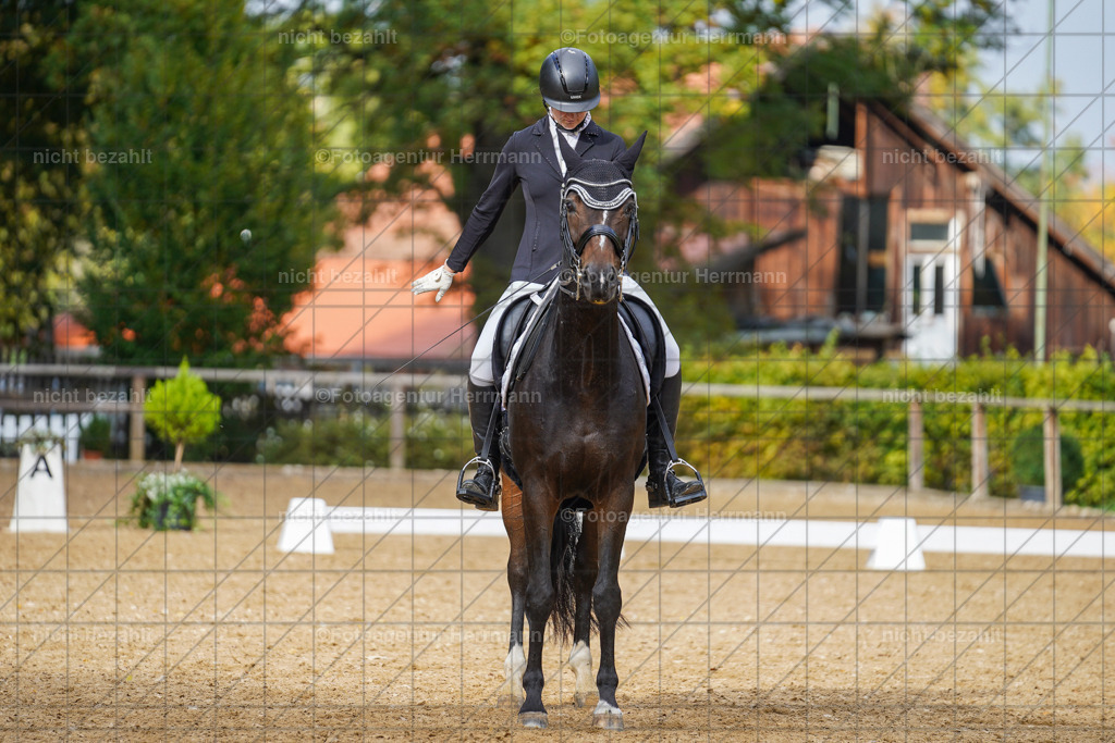 20221007-FAH09953 | Diessen am Ammersee, 2022, Dressur- und Springturnier, Reitsportbilder, Turnierfotografen Bayern, Pferdefotografen, Fotoagentur Herrmann, Turnierbilder