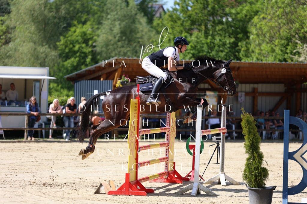 IMGS9872 | pl-fotografie