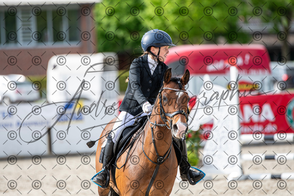 KPT_6720 | andre_photographic