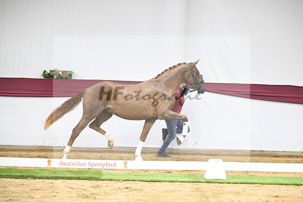 Kat-Nr. 52 Filox x Feinrich_Rothenberger Ventures GmbH_47251933 | hf-fotografie - Realisiert mit Pictrs.com