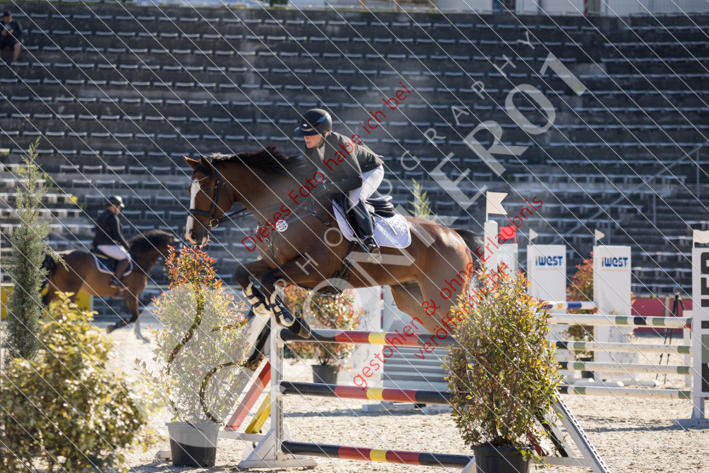 IMG_2859 | Sport-, Event- und Tierfotos in Profiqualität. Einfach auswählen, bestellen und herunterladen. Dein Moment – perfekt festgehalten.