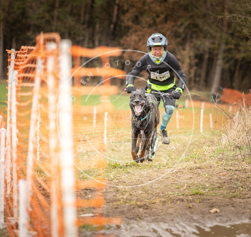 DV3A1474 | Hundefotografie, Tierfotograf, Pfotenfotografie, Fotoshooting Hund, Hunde Portrait, Hundesport, Hundeportraits, Heideshooting, Hunde, Sportfotograf, Hundefotograf, Turnierhundsport, THS,  - Realisiert mit Pictrs.com