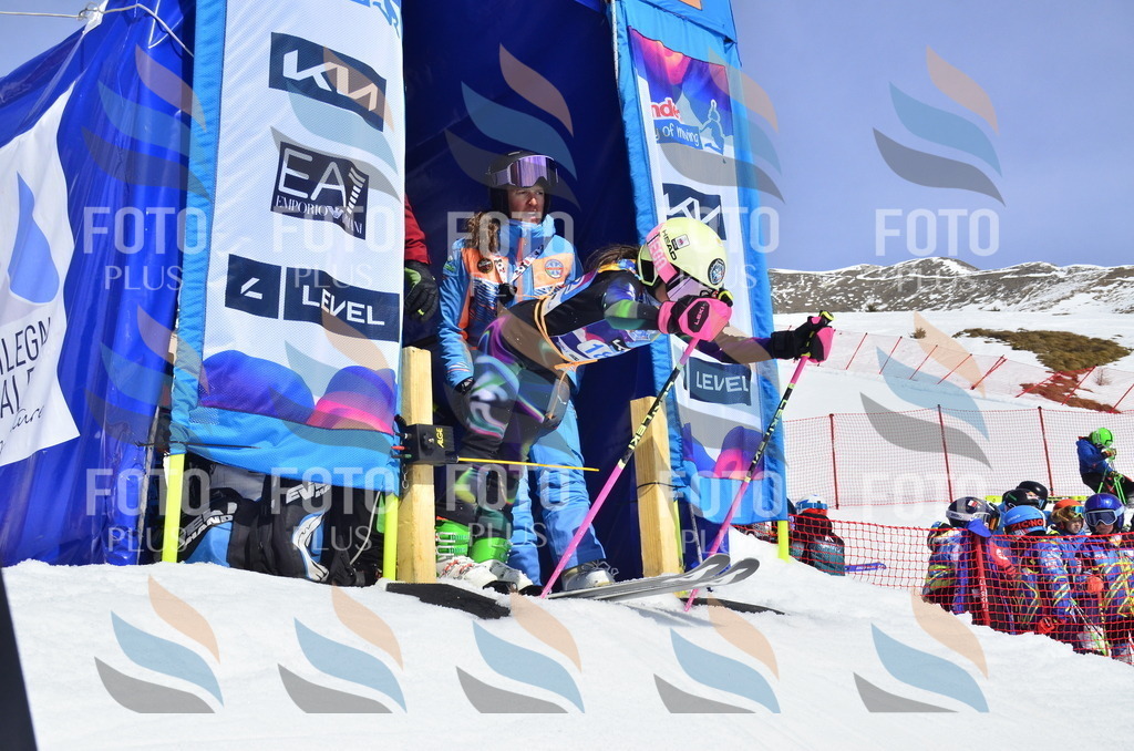 _ELE1228 | holidayphoto