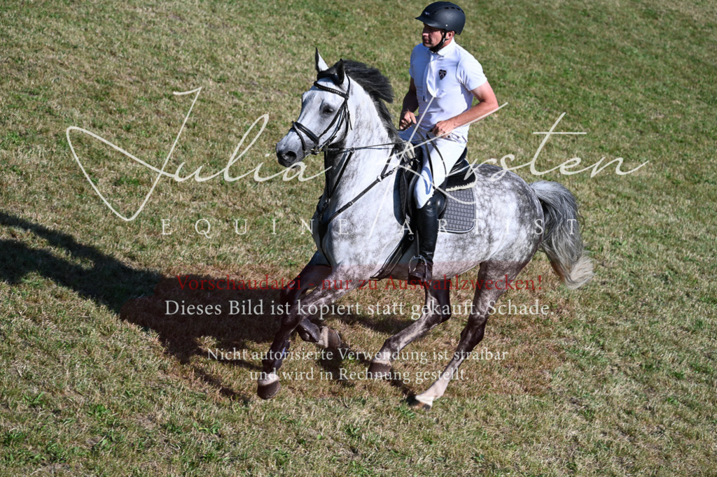 DSC_2227 | Pferde- und Turnierfotografie in Westsachsen. Pferdeportraits, Auftragszeichnungen und intuitive Kunst.