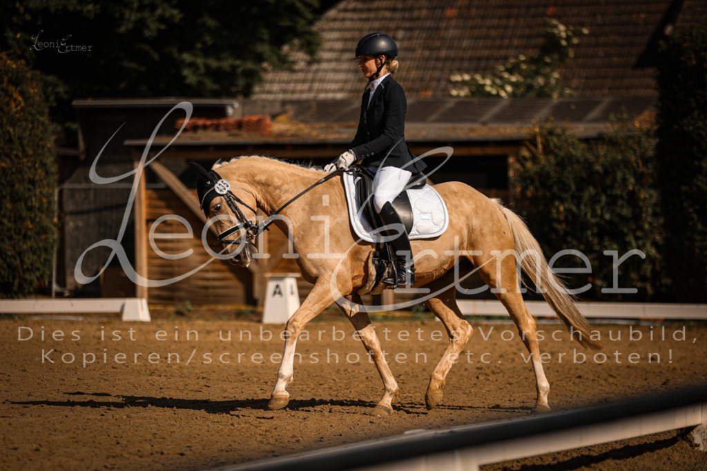 07.FrDrPA00091 | Leoni Ertmer Photography - Realisiert mit Pictrs.com