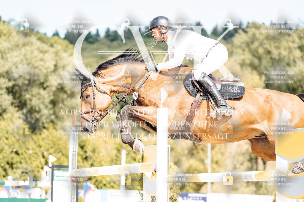 CK908725 | Turnierfotografie Pferdefotografie Trier Rheinland-Pfalz Pferdesport Reitsport Tierfotografie Sportfotografie Pferdevideo Pferdevideografie Equestrianvideography equestrianphotography  - Realisiert mit Pictrs.com
