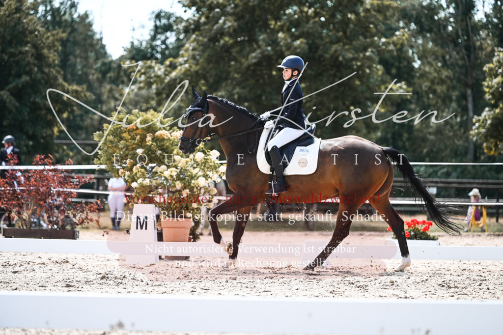 DSC_5781 | Pferde- und Turnierfotografie in Westsachsen. Pferdeportraits, Auftragszeichnungen und intuitive Kunst.