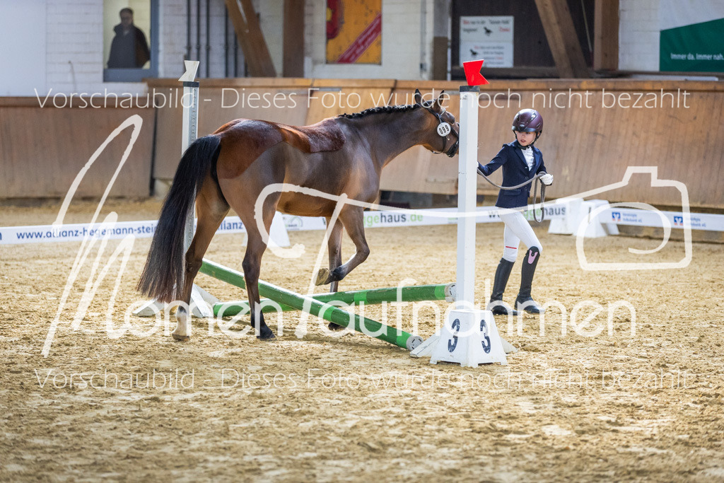 Sth-WBO25-Führ-WB-057 | MomenTaufnahmen Pferdesportfotos