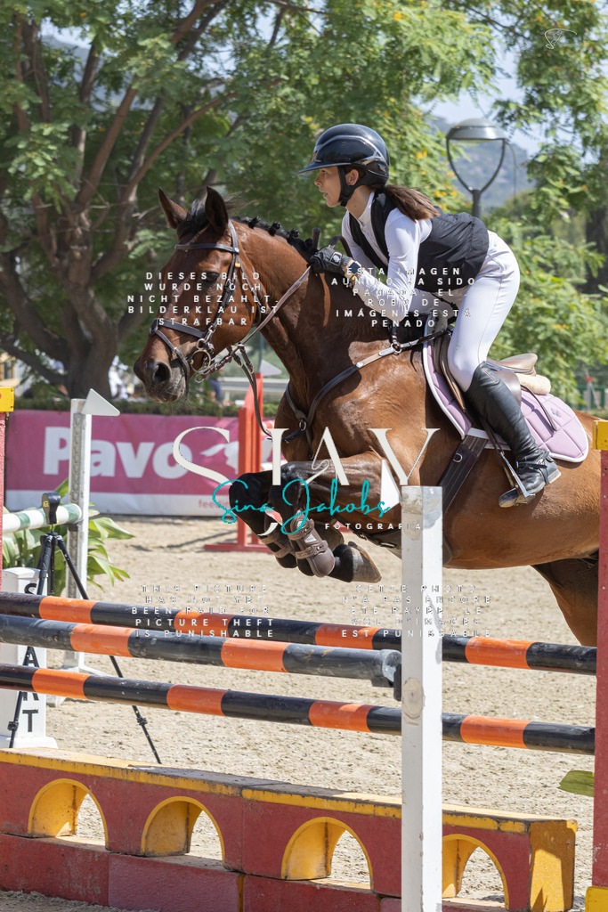 IMG_3377 | s-jay-photography - Realisiert mit Pictrs.com