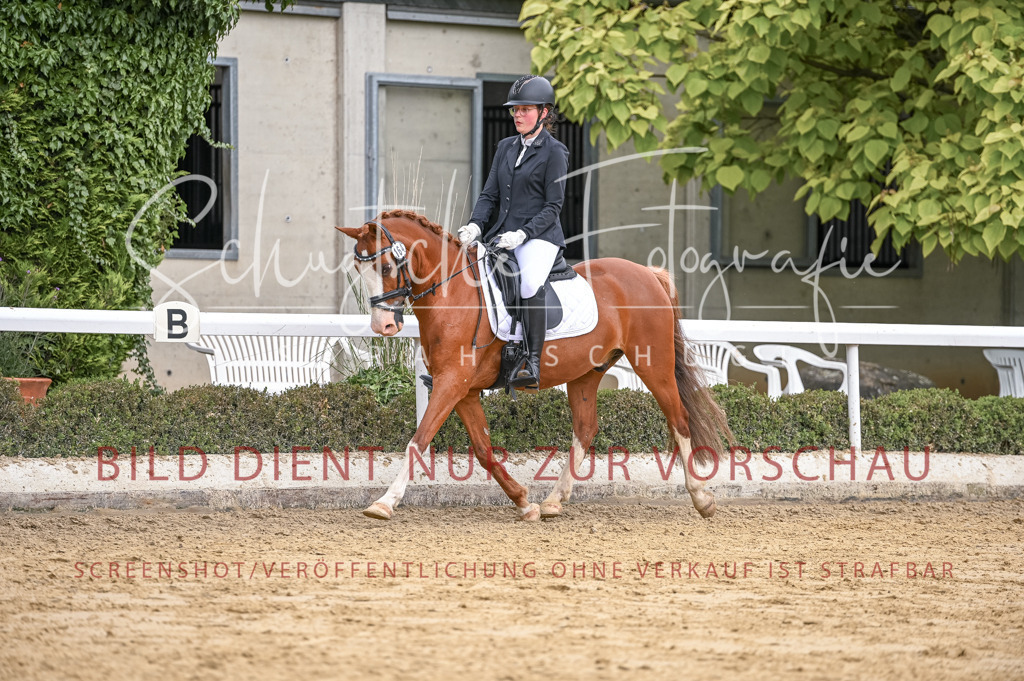 Schugtsche-Aluta25-43.EDressur -154 | Schugtsche Fotografie - Realisiert mit Pictrs.com