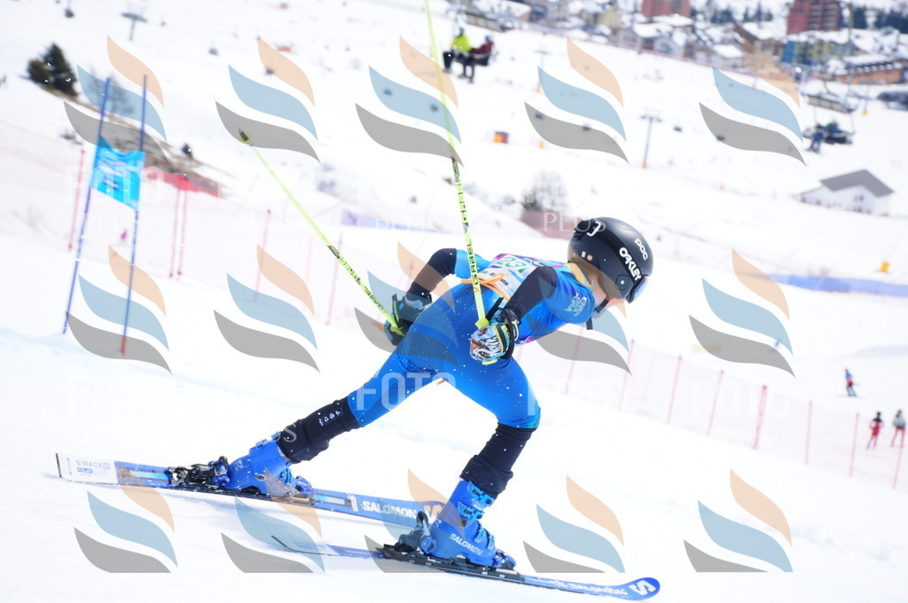 DSC_2144 | holidayphoto