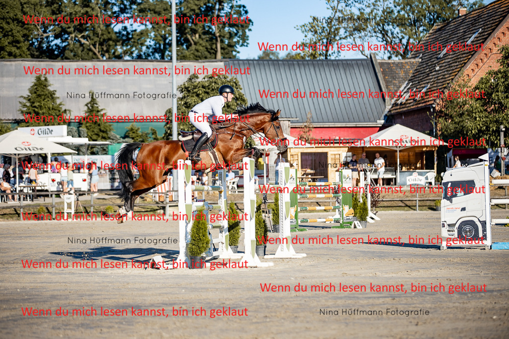 BK1A8417 | Turnierbilder Turnierfotos Nina Hüffmann Turnierfotografie Pferdefotografie Tierzeichnung Haustierzeichnung Pferdezeichnung Hundezeichnung Videograf  - Realisiert mit Pictrs.com