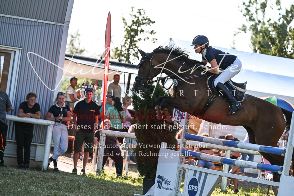 DSC_2981 | Pferde- und Turnierfotografie in Westsachsen. Pferdeportraits, Auftragszeichnungen und intuitive Kunst.