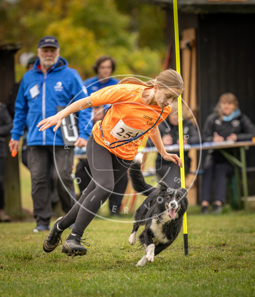 Pfotenfotografie_DV3A6223 | Hundefotografie, Tierfotograf, Pfotenfotografie, Fotoshooting Hund, Hunde Portrait, Hundesport, Hundeportraits, Heideshooting, Hunde, Sportfotograf, Hundefotograf, Turnierhundsport, THS,  - Realisiert mit Pictrs.com