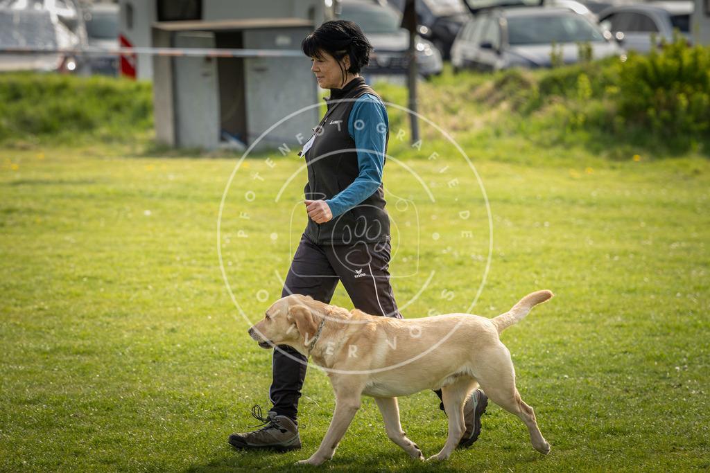 Pfotenfotografie_DV3A4994 | Hundefotografie, Tierfotograf, Pfotenfotografie, Fotoshooting Hund, Hunde Portrait, Hundesport, Hundeportraits, Heideshooting, Hunde, Sportfotograf, Hundefotograf, Turnierhundsport, THS,  - Realisiert mit Pictrs.com