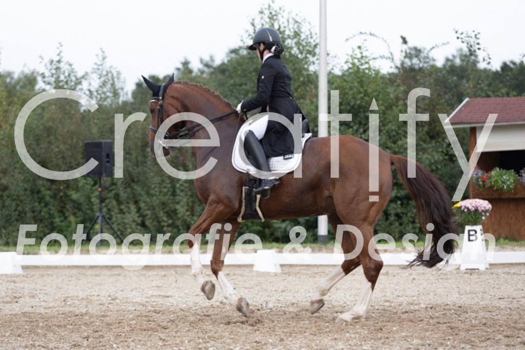 IMG_5759 | Creatify Fotografie