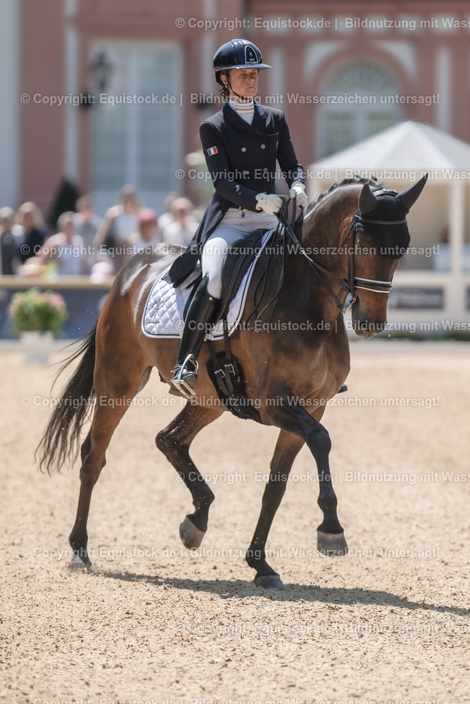 20230528_03_GP-Special-Tour_0286 | equistock