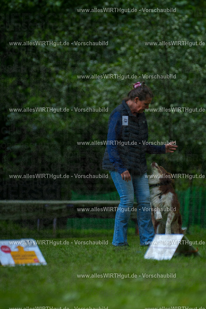 @allesWIRTHgut_Tierfotografie - www.allesWIRTHgut.de - 7R505461 | Professionelle Tierfotografie in Mönchengladbach von Daniel Wirth (allesWIRTHgut). Liebevolle & natürliche Bilder von Hunden & Katzen für unvergessliche Erinnerungen.