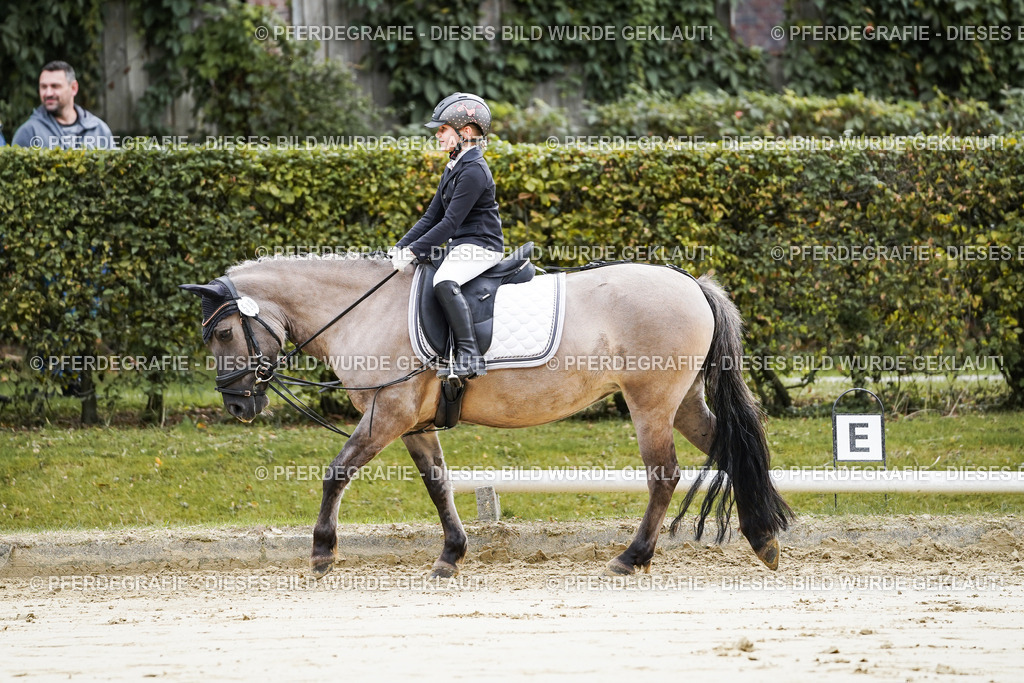 DSC05091 | Pferdegrafie