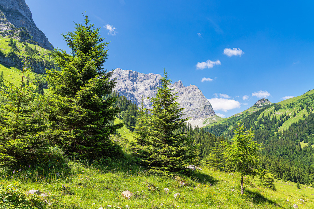 Landschaft im Rißtal nahe der Eng Alm in Österreich | Landschaft im Rißtal nahe der Eng Alm in Österreich.