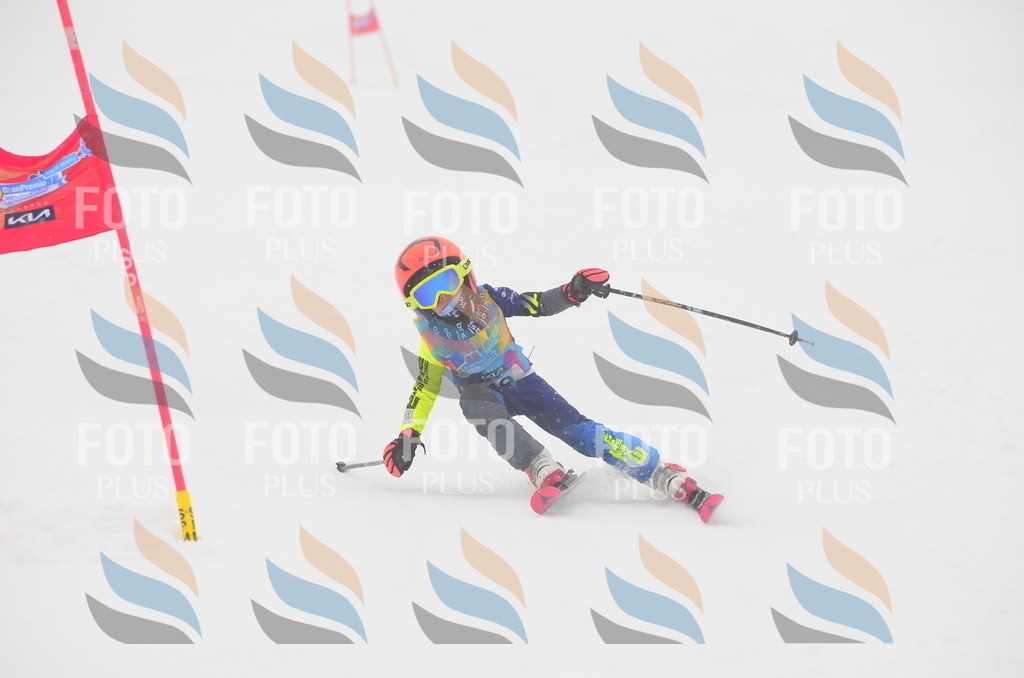 C0942 | holidayphoto