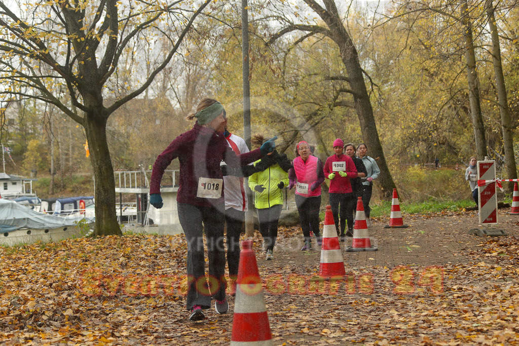 221127_1039_EX2_2683 | Sport- und Eventfotografie