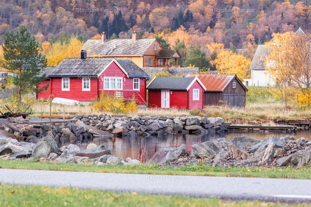 Rote Häuser am Fjord – Herbst in Norwegen | Typisch Norwegen: Zwei leuchtend rote Holzhäuser am Ufer, eingebettet in goldgelbe Herbstfarben und spiegelglattem Wasser. Diese Aufnahme wurde im Oktober gemacht und bringt die warme Stimmung und Klarheit der norwegischen Fjordlandschaften perfekt zur Geltung. Ein ruhiges, harmonisches Motiv mit klassischer skandinavischer Atmosphäre – ideal als Fine Art Print für gemütliche Räume.