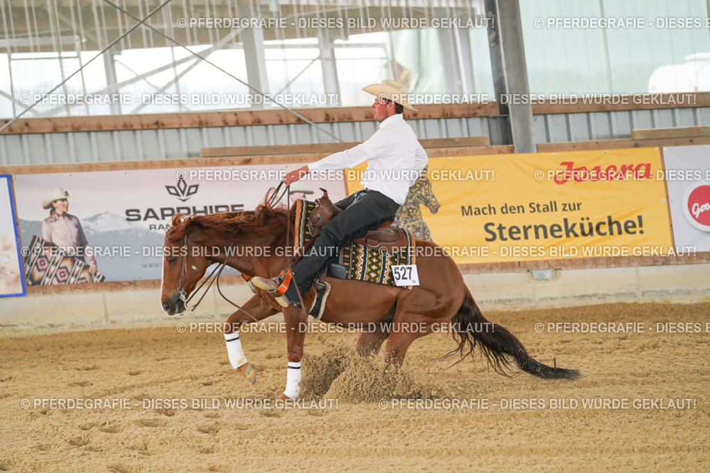 DSC07670 | Pferdegrafie