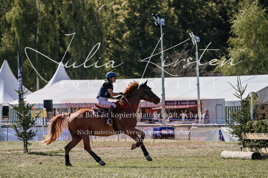 DSC_3053 | Pferde- und Turnierfotografie in Westsachsen. Pferdeportraits, Auftragszeichnungen und intuitive Kunst.