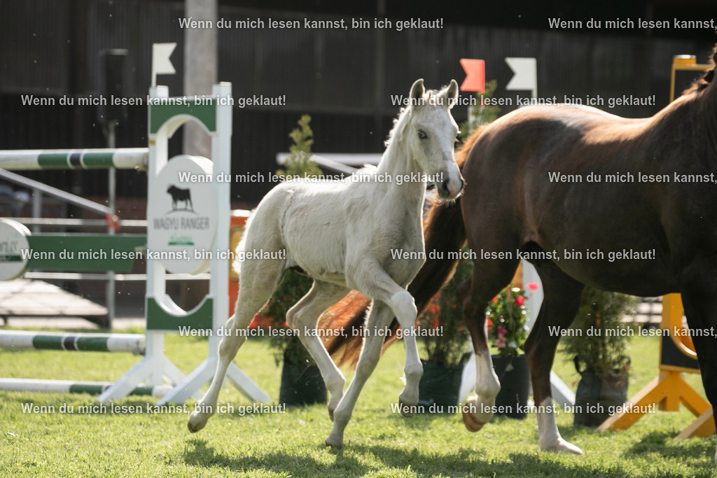 598A6883 | photographylinaismer - Realisiert mit Pictrs.com