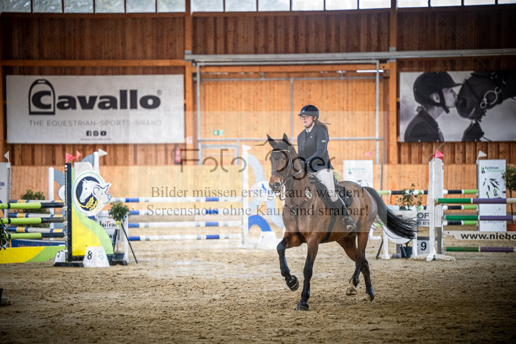 DOS_1481 | Entdecke hochwertige Reitturnierfotos von Foto Oger. Professionell, emotional und authentisch – jetzt Lieblingsmomente im Shop bestellen.Deutschlandweite Turnierfotografie. - Realisiert mit Pictrs.com