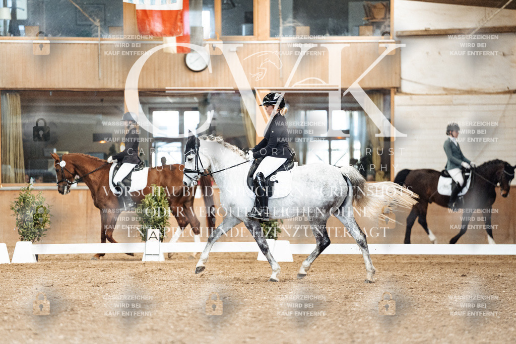 CK900865 | Turnierfotografie Pferdefotografie Trier Rheinland-Pfalz Pferdesport Reitsport Tierfotografie Sportfotografie Pferdevideo Pferdevideografie Equestrianvideography equestrianphotography  - Realisiert mit Pictrs.com