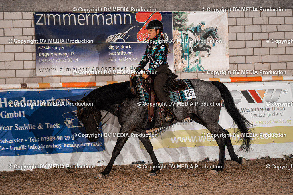 ZH100134 | dv-media-shop - Realisiert mit Pictrs.com