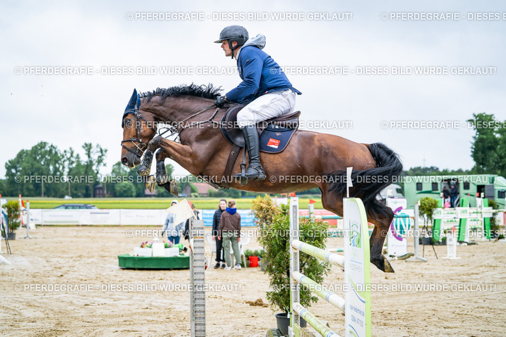 DSC03558 | Pferdegrafie