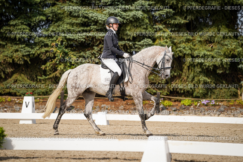 DSC07144 | Pferdegrafie