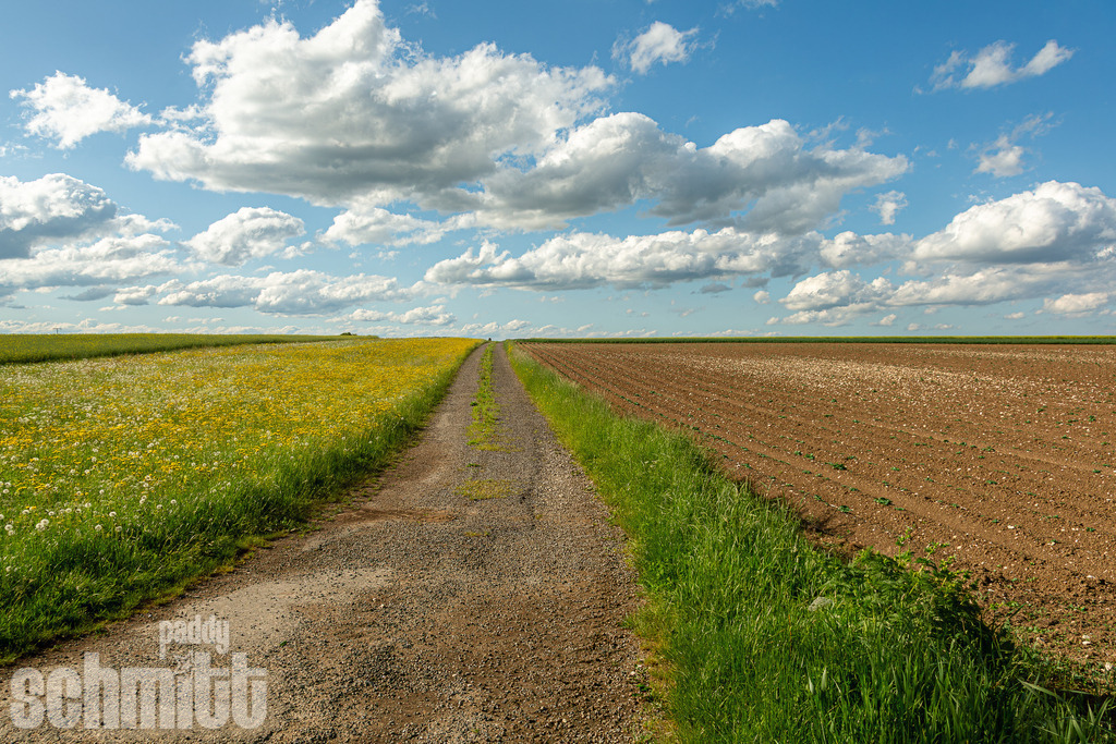 PS-Wege-2026-2 | Entdecke die größte Bildgalerie der Region mit Fotografien aus dem Allgäu, der Bodenseeregion, Oberschwaben, dem Donautal und der Schwäbischen Alb. Landschaften, Luftaufnahmen und Reisefotografie als Wandbild und Fotokunst. - Realisiert mit Pictrs.com