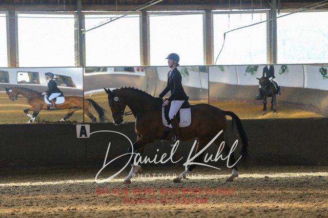 IMG_2317 | Turniersportfotografie; Pferdefotografie; Dressurfotografie