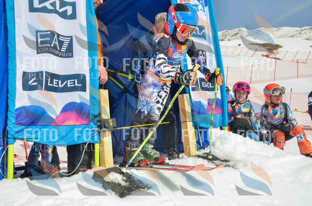 _ELE5221 | holidayphoto